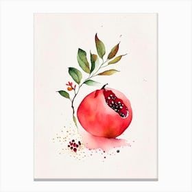 Pomegranate Herb Minimalist Watercolour 1 Canvas Print