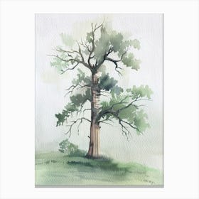 Yew Tree Atmospheric Watercolour Painting 4 Canvas Print