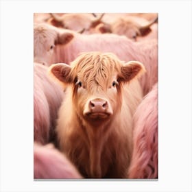 Pink Portrait Of Highland Cow Realistic Photography Style 1 Canvas Print