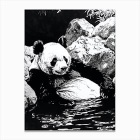 Giant Panda Relaxing In A Hot Spring Ink Illustration 4 Canvas Print
