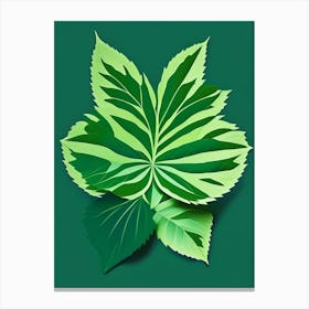 Calamint Leaf Vibrant Inspired 1 Canvas Print