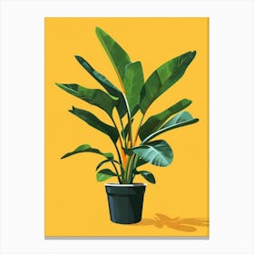 Banana Plant On Yellow Background Canvas Print