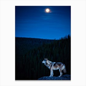 Wolf At Night Canvas Print