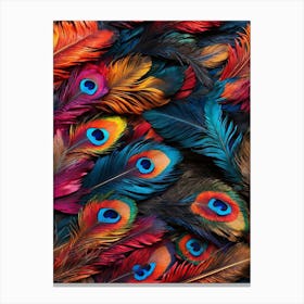 Peacock Feathers Art Print Canvas Print