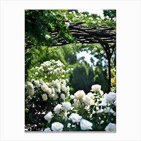 White Roses 1 Canvas Print