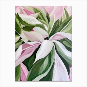 Poinsettia Canvas Print