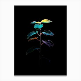 Plant In The Dark 29 Canvas Print