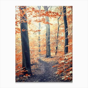 In The Wood Canvas Print