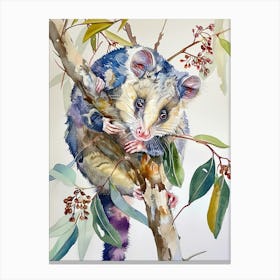 Opossum Colourful Watercolour 3 Canvas Print