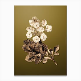 Gold Botanical Oakleaf Hydrangea on Dune Yellow n.2903 Canvas Print