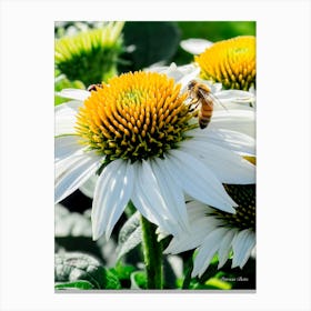 Honeybee On A Flower Canvas Print