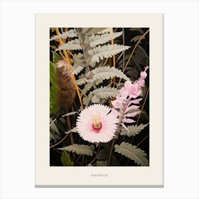 Flower Illustration Veronica 2 Poster Canvas Print