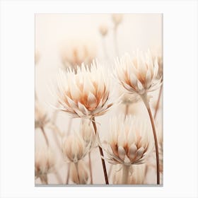 Boho Dried Flowers Protea 3 Canvas Print