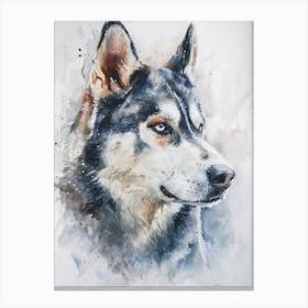 Siberian Husky Watercolor Painting 3 Canvas Print