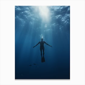 Silhouette Of A Diver Canvas Print