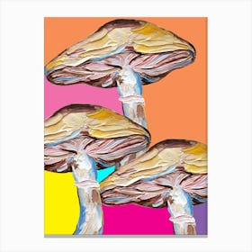 Mushrooms On Rainbow Quilt Canvas Print