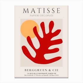 Matisse Papers Decoratifs Canvas Print