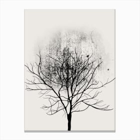 Tree Study No 9 Canvas Print
