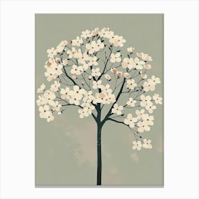 Dogwood Tree Minimal Japandi Illustration 4 Canvas Print