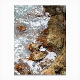 Rocky shore with seaweed Canvas Print