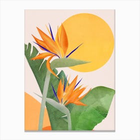 Bird Of Paradise 3 Canvas Print