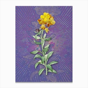 Vintage Yellow Wallflower Bloom Botanical Illustration on Veri Peri n.0032 Canvas Print