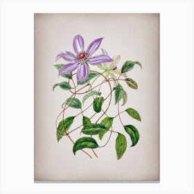 Vintage Violet Clematis Flower Botanical on Parchment n.0483 Canvas Print