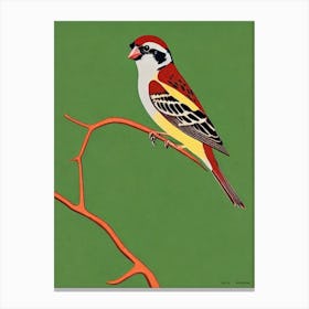 House Sparrow Midcentury Illustration Bird Canvas Print