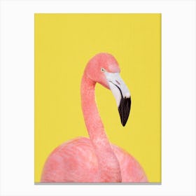 Flamingo In Yellow Canvas Print