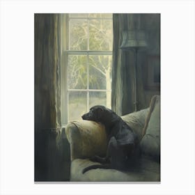 Dog In The Window Canvas Print