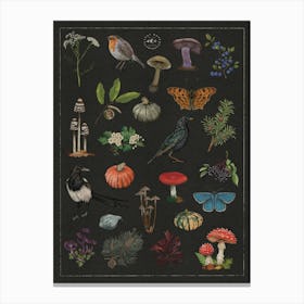 Autumn Fall Botanical Witchcore Art Print Canvas Print