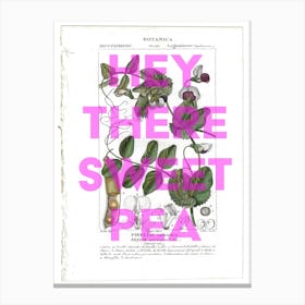 Hey There Sweet Pea Vintage Canvas Print