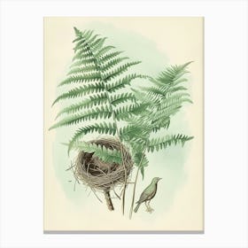 Vintage Illustration Birds Nest Fern 3 Canvas Print