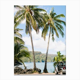 Hawaii Road To Hana Palm Canvas Print