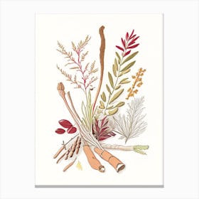 Licorice Root Spices And Herbs Pencil Illustration 1 Canvas Print