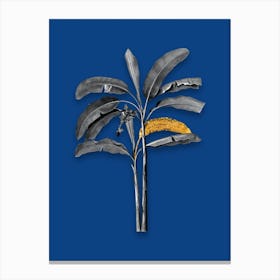 Vintage Banana Tree Black and White Gold Leaf Floral Art on Midnight Blue n.0243 Canvas Print