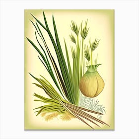Lemongrass Spices And Herbs Retro Drawing 1 Canvas Print