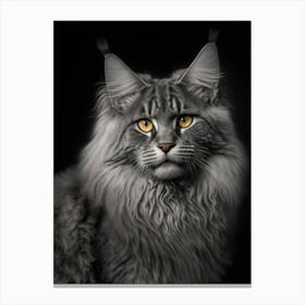 Maine Coon Cat 1 Canvas Print