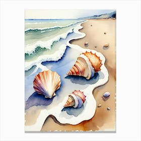 Seashells on the beach, watercolor painting 8 Canvas Print