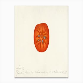 Tomato 1 Canvas Print