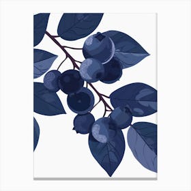 Blueberries Close Up Illustration 2 Canvas Print