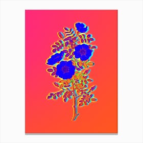 Neon White Burnet Roses Botanical in Hot Pink and Electric Blue n.0494 Canvas Print