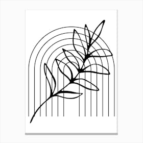 Leaf In A Frame Canvas Print