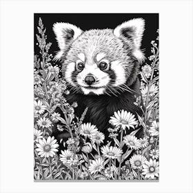 Red Panda Cub In A Field Of Flowers Ink Illustration 3 Canvas Print