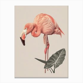 Andean Flamingo And Alocasia Elephant Ear Minimalist Illustration 4 Canvas Print