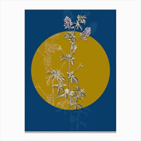 Vintage Botanical Spanish Clover Bloom on Circle Yellow on Blue Canvas Print