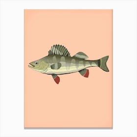 Vintage Fish Illustration Lienzo