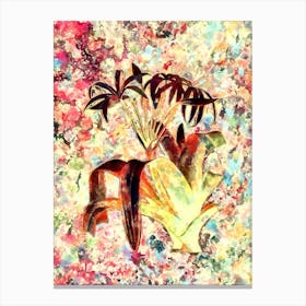 Impressionist Crinum Erubescens Botanical Painting in Blush Pink and Gold Canvas Print