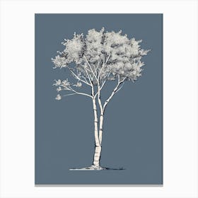 Birch Tree Minimalistic Drawing 2 Canvas Print