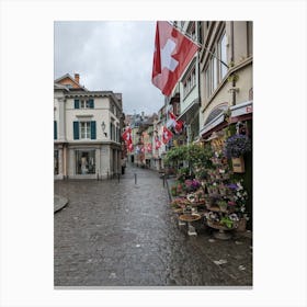 street view of zurich Canvas Print